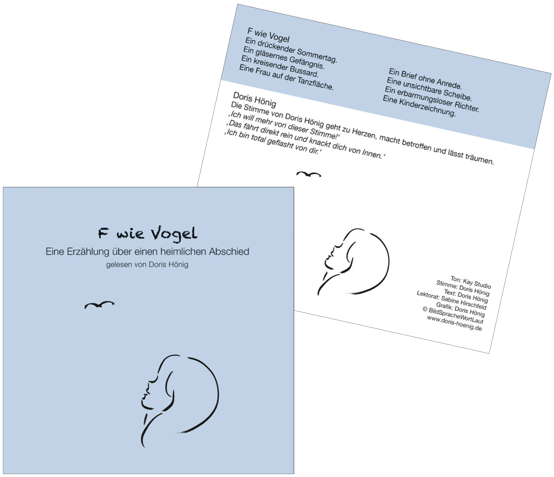 CD-Cover, Hörbuch 'F wie Vogel'