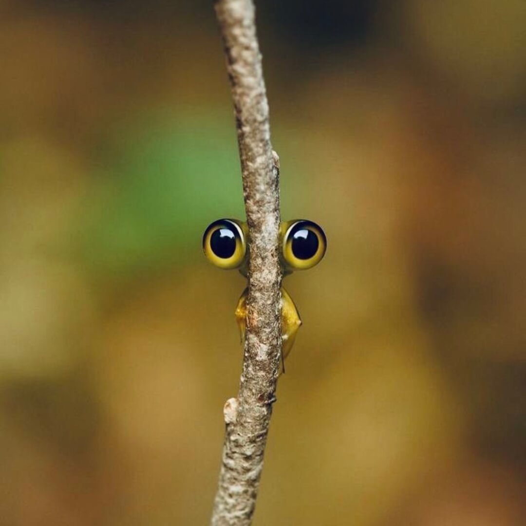 Ein neuer Erfahrungsraum entsteht