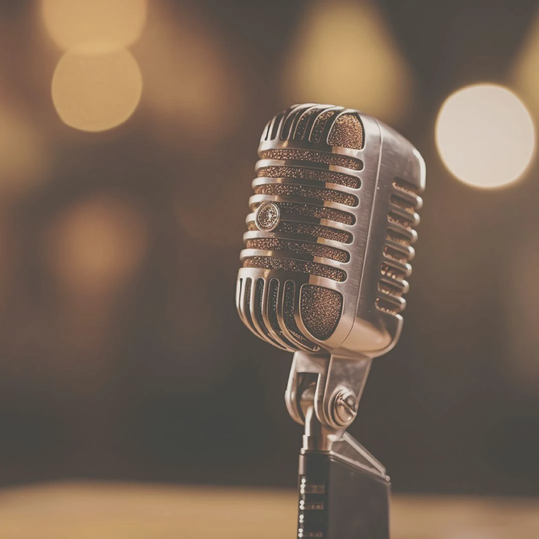 Doris Hönig als Gast bei verschiedenen Podcasts Mikrophon als Symbol für 'Im Gespräch mit...' – Podcasts, bei denen Doris Hönig Gästin war